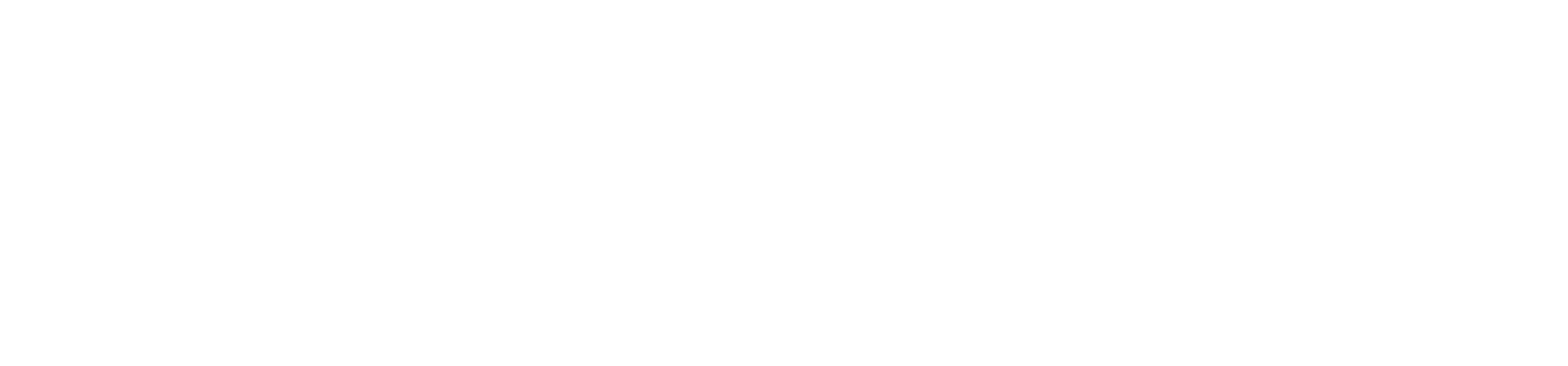 logo facilistage